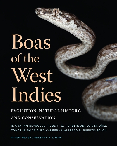 Паперова книга «Boas of the West Indies: Evolution, Natural History, and Conservation», авторів Альберто Р. Пуенте-Ролон, Луїс М. Діас, Роберт В. Гендерсон, Томас М. Родрігес-Кабрера - фото №1