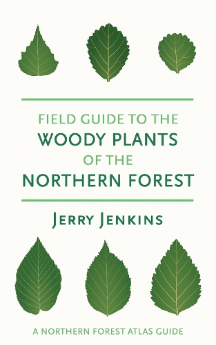Бумажная книга «Field Guide to the Woody Plants of the Northern Forest», автор Джерри Дженкинс - фото №1
