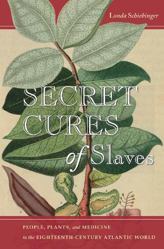 Бумажная книга «Secret Cures of Slaves: People, Plants, and Medicine in the Eighteenth-Century Atlantic World», автор Лонда Шибингер - фото №1
