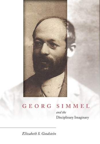 Бумажная книга «Georg Simmel and the Disciplinary Imaginary», автор Элизабет С. Гудштейн - фото №1