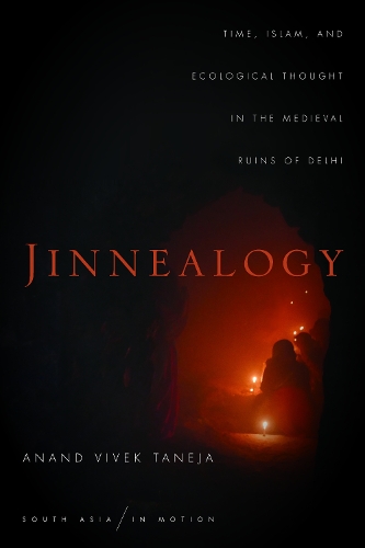 Паперова книга «Jinnealogy: Time, Islam, and Ecological Thought in the Medieval Ruins of Delhi», автор Ананд Вівек Танеджа - фото №1