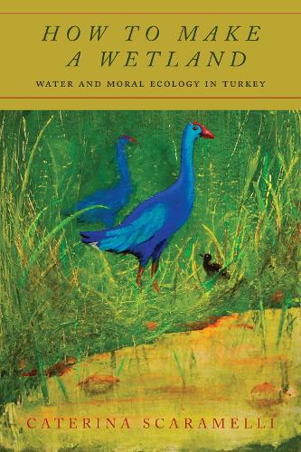 Бумажная книга «How to Make a Wetland: Water and Moral Ecology in Turkey», автор Катерина Скарамелли - фото №1