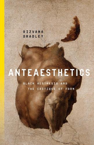 Бумажная книга «Anteaesthetics: Black Aesthesis and the Critique of Form», автор Ризвана Брэдли - фото №1