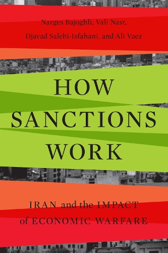 Паперова книга «How Sanctions Work: Iran and the Impact of Economic Warfare», авторів Алі Ваез, Джавад Салехі-Ісфахані, Наргес Баджоглі, Валі Наср - фото №1