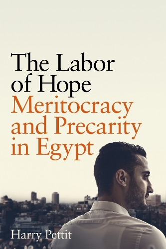 Бумажная книга «The Labor of Hope: Meritocracy and Precarity in Egypt», автор Гарри Петтит - фото №1