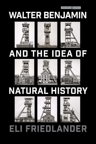Бумажная книга «Walter Benjamin and the Idea of Natural History», автор Эли Фридландер - фото №1