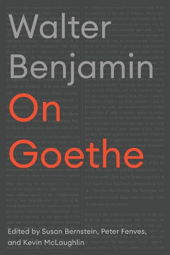 Бумажная книга «On Goethe», автор Вальтер Беньямин - фото №1