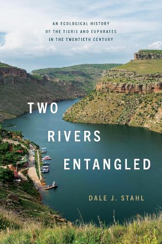 Бумажная книга «Two Rivers Entangled: An Ecological History of the Tigris and Euphrates in the Twentieth Century», автор Дейл Дж. Стал - фото №1