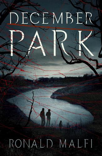 Бумажная книга «December Park», автор Рональд Малфи - фото №1