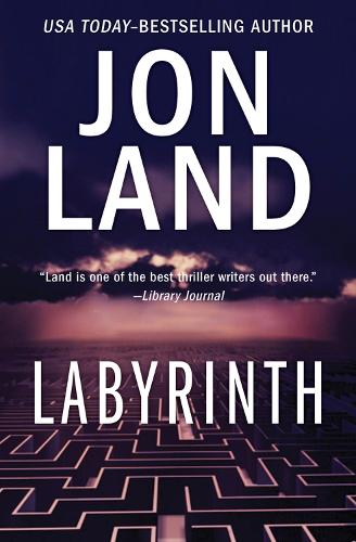 Бумажная книга «Labyrinth», автор Йон Ланд - фото №1