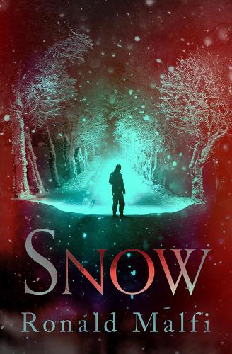 Бумажная книга «Snow», автор Рональд Малфи - фото №1