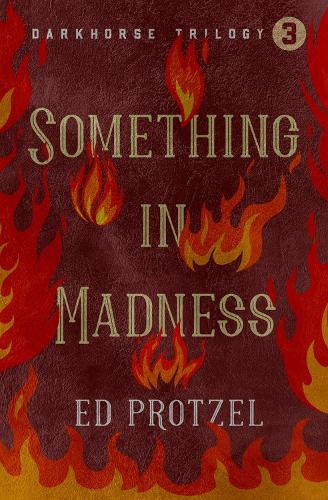 Паперова книга «Something in Madness», автор Ед Протцель - фото №1