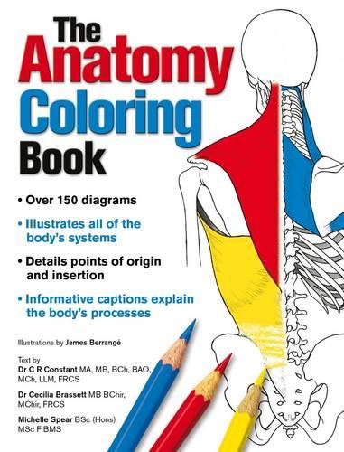 Бумажная книга «Complete Anatomy Coloring Book, Newly Revised and Updated Edition», авторов Сесилия Брассет, Мишель Спир - фото №1