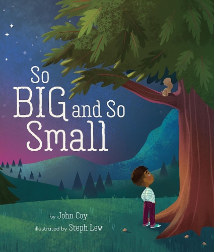 Бумажная книга «So Big and So Small», автор Джон Кой - фото №1