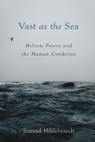 Бумажная книга «Vast as the Sea: Hebrew Poetry and the Human Condition», автор Сэмюэль Хильдебрандт - фото №1