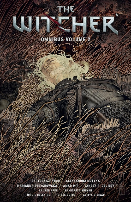Бумажная книга «The Witcher Omnibus. Volume 2», авторов Бартош Штыбор, Александра Мотыка, Марианна Стрыховска - фото №1