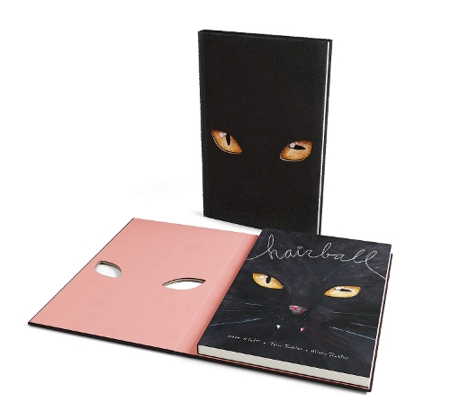 Бумажная книга «Hairball», авторов Хилари Дженкинс, Мэтт Киндт, Тайлер Дженкинс - фото №1