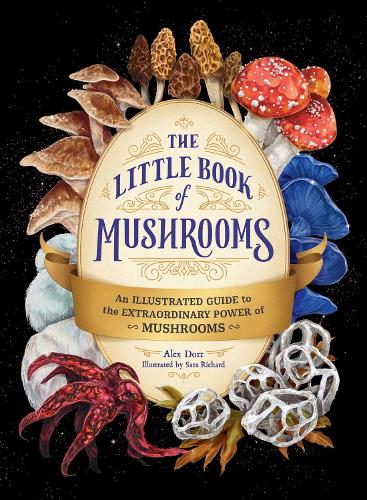 Paper book «The Little Book of Mushrooms: An Illustrated Guide to the Extraordinary Power of Mushrooms», author Alex Dorr - фото №1
