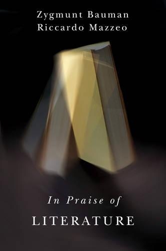 Бумажная книга «In Praise of Literature», авторов Риккардо Маццео, Зигмунт Бауман - фото №1