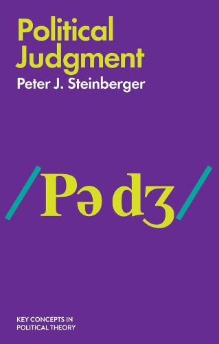 Паперова книга «Political Judgment: An Introduction», автор Пітер Дж. Стейнбергер - фото №1