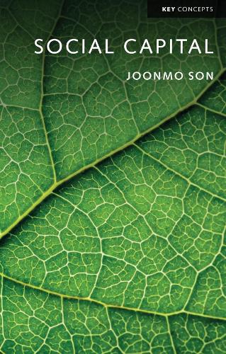 Паперова книга «Social Capital», автор Чжунмо Сон - фото №1