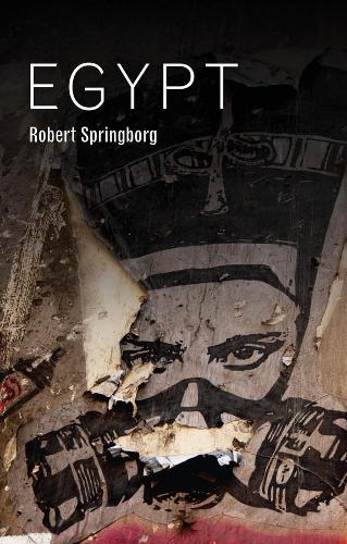 Бумажная книга «Egypt», автор Роберт Спрингборг - фото №1