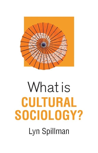 Бумажная книга «What is Cultural Sociology?», автор Лин Спилман - фото №1