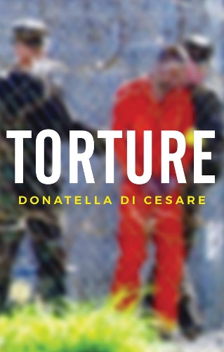 Паперова книга «Torture», автор Донателла Ді Чезаре - фото №1