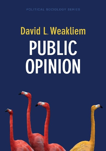 Паперова книга «Public Opinion», автор Девід Л. Віклієм - фото №1
