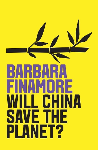 Паперова книга «Will China Save the Planet?», автор Барбара Фінамор - фото №1