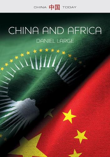 Бумажная книга «China and Africa: The New Era», автор Дэниел Лардж - фото №1