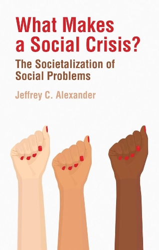 Бумажная книга «What Makes a Social Crisis?: The Societalization of Social Problems», автор Джеффри К. Александр - фото №1