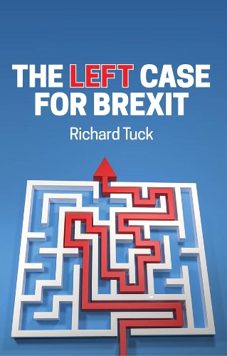 Паперова книга «The Left Case for Brexit: Reflections on the Current Crisis», автор Річард Тук - фото №1