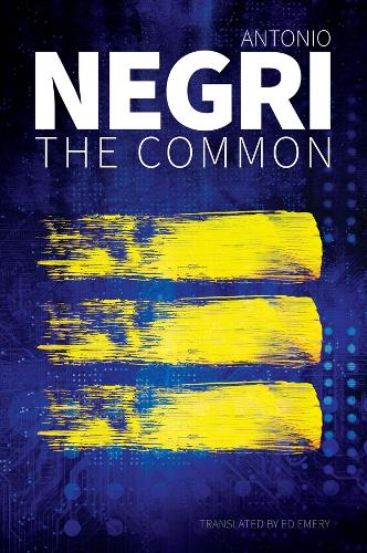 Бумажная книга «The Common», автор Антонио Негри - фото №1