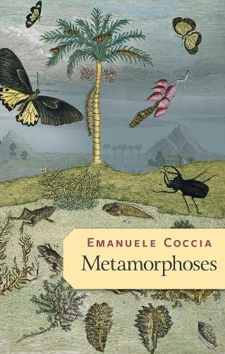 Бумажная книга «Metamorphoses», автор Эмануэле Коччиа - фото №1