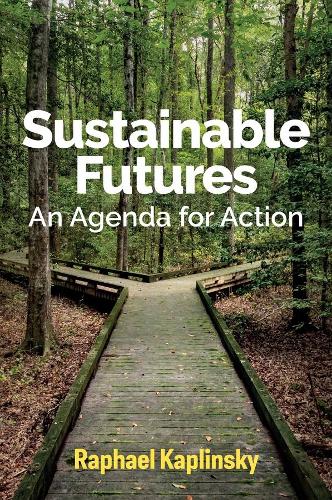 Бумажная книга «Sustainable Futures: An Agenda for Action», автор Рафаэль Каплинский - фото №1