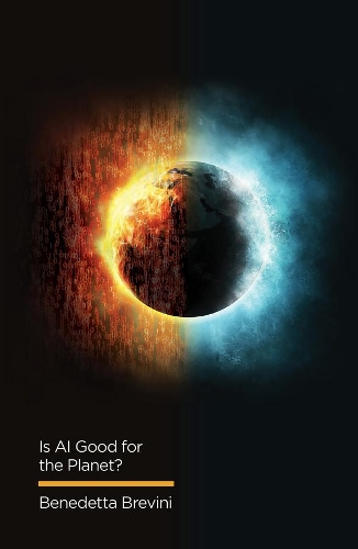 [object Object] «Is AI Good for the Planet?», автор Бенедетта Бревини - фото №1