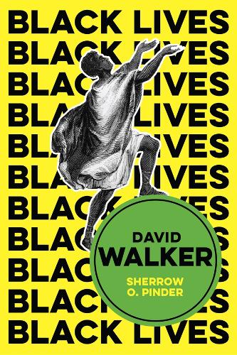 Бумажная книга «David Walker: The Politics of Racial Egalitarianism», автор Шерроу О. Пиндер - фото №1