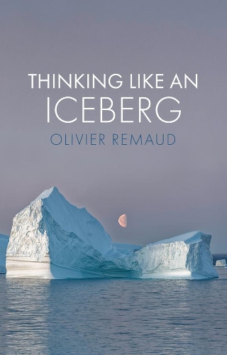 Бумажная книга «Thinking Like an Iceberg», автор Оливье Ремо - фото №1