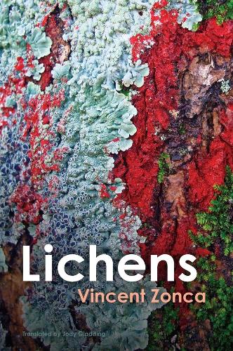 Бумажная книга «Lichens: Toward a Minimal Resistance», автор Винсент Зонка - фото №1