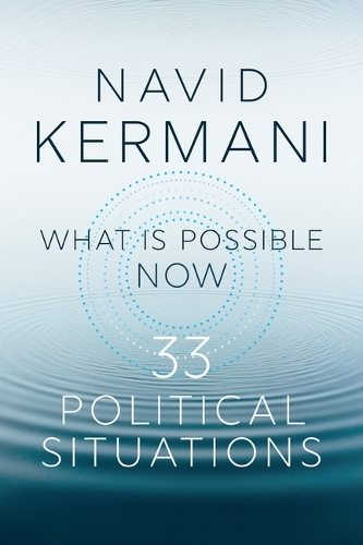Паперова книга «What is Possible Now: 33 Political Situations», автор Навід Кермані - фото №1
