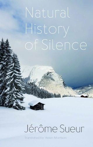 Бумажная книга «Natural History of Silence», автор Жером Суер - фото №1