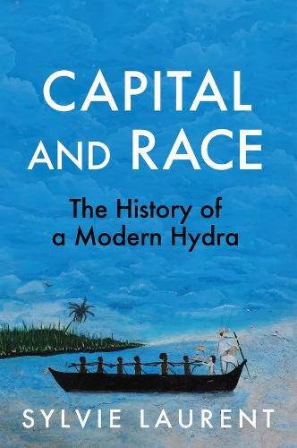 Бумажная книга «Capital and Race: The History of a Modern Hydra», автор Сильви Лоран - фото №1