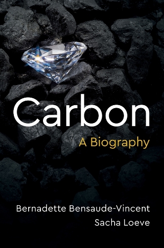 Бумажная книга «Carbon: A Biography», авторов Бернадетт Бенсод-Винсент, Саша Лоэв - фото №1
