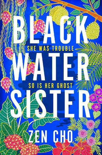 Бумажная книга «Black Water Sister», автор Дзен Чо - фото №1