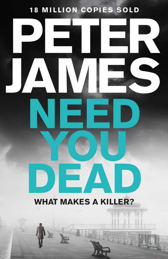 Паперова книга «Need you Dead», автор Пітер Джеймс - фото №1