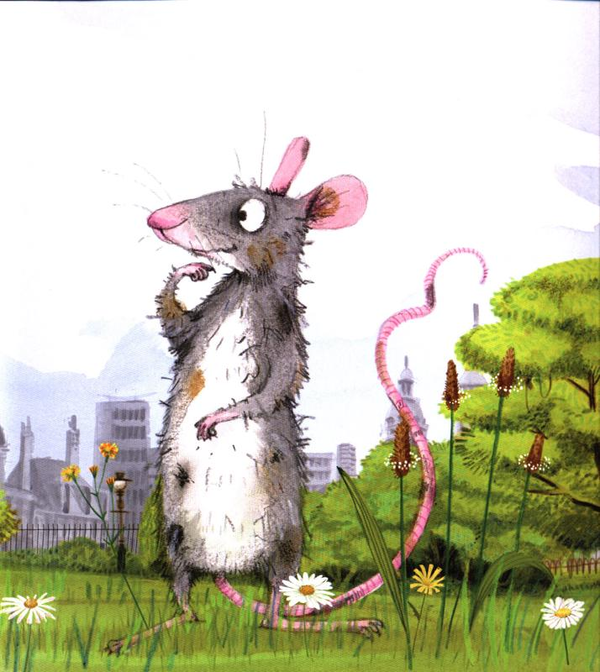Бумажная книга «Cyril and Pat», автор Эмили Грэветт - фото №1