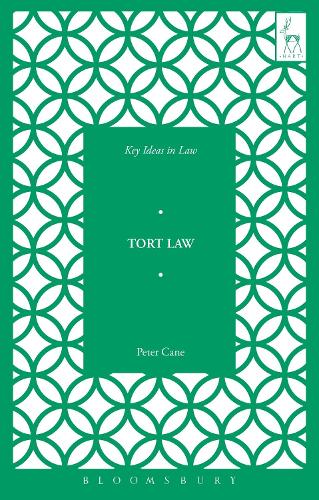 Бумажная книга «Key Ideas in Tort Law», автор Питер Кейн - фото №1