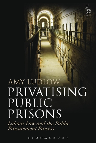 Паперова книга «Privatising Public Prisons: Labour Law and the Public Procurement Process», автор Емі Ладлоу - фото №1