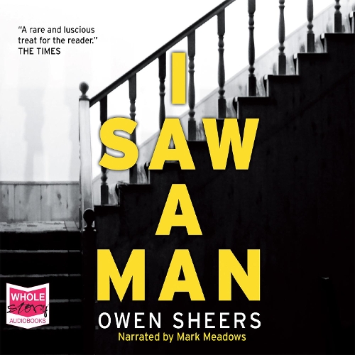 Аудіокнига «I Saw A Man» - фото №1